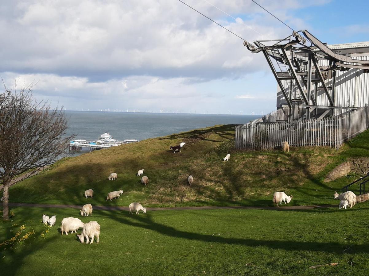 Copper Mine Cottage Llandudno Exterior foto