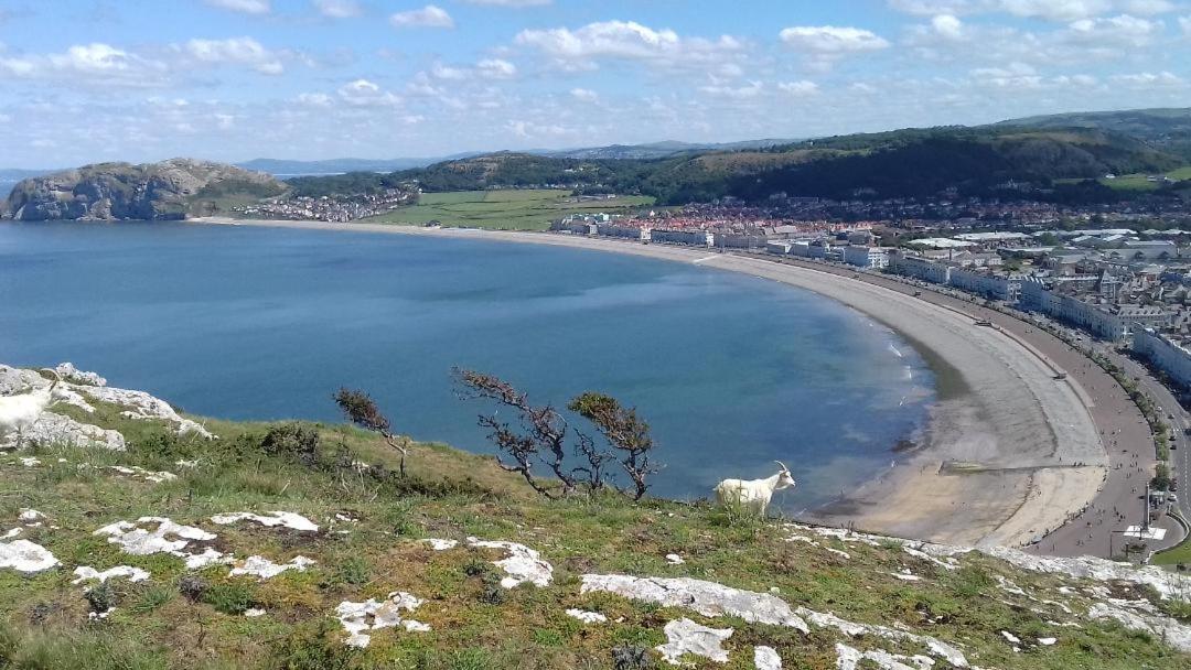 Copper Mine Cottage Llandudno Exterior foto